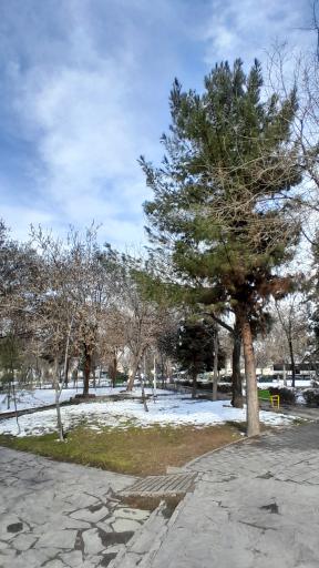 عکس بوستان ثامن