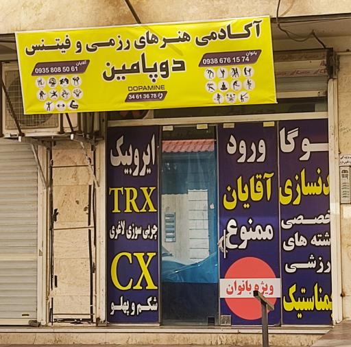 عکس آکادمی جوجیتسو دوپامین