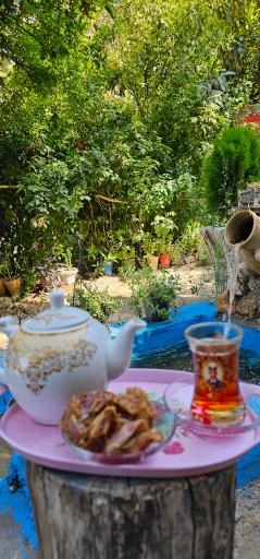 عکس بومگردی و باغ گردشگری باباامیر