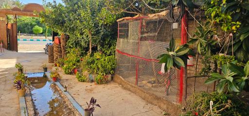 عکس بومگردی و باغ گردشگری باباامیر