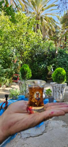 عکس بومگردی و باغ گردشگری باباامیر