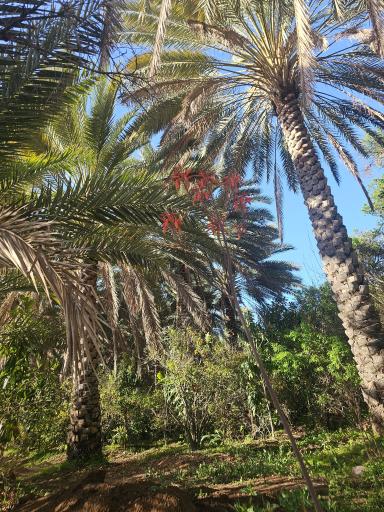 عکس بومگردی و باغ گردشگری باباامیر