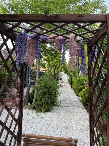 عکس باغ آتلیه لیلی