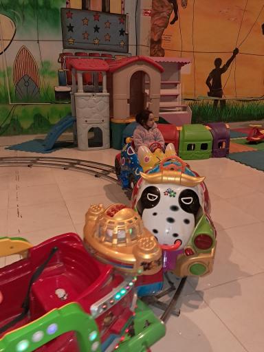 عکس شهربازی دیبا