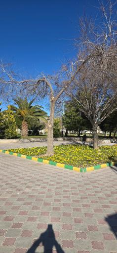 عکس پارک شقایق