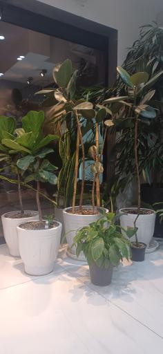 عکس درمانگاه دندانپزشکی کیان