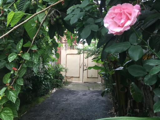 عکس سوئیت شهری رنجبر