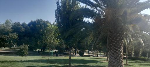 عکس پارک شقایق