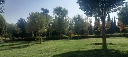 عکس پارک شقایق