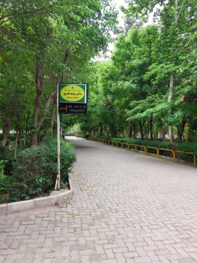 عکس دکتر وحید قدری،متخصص روانشناسی 