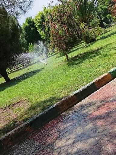 عکس پارک شقایق