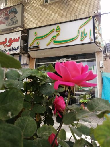 املاک شهر سبز