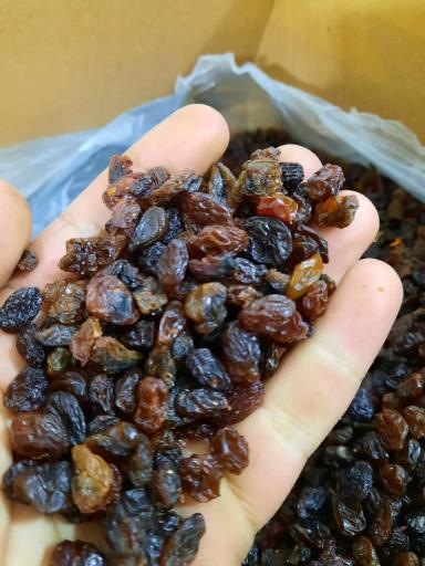 عکس کشمش ملکان