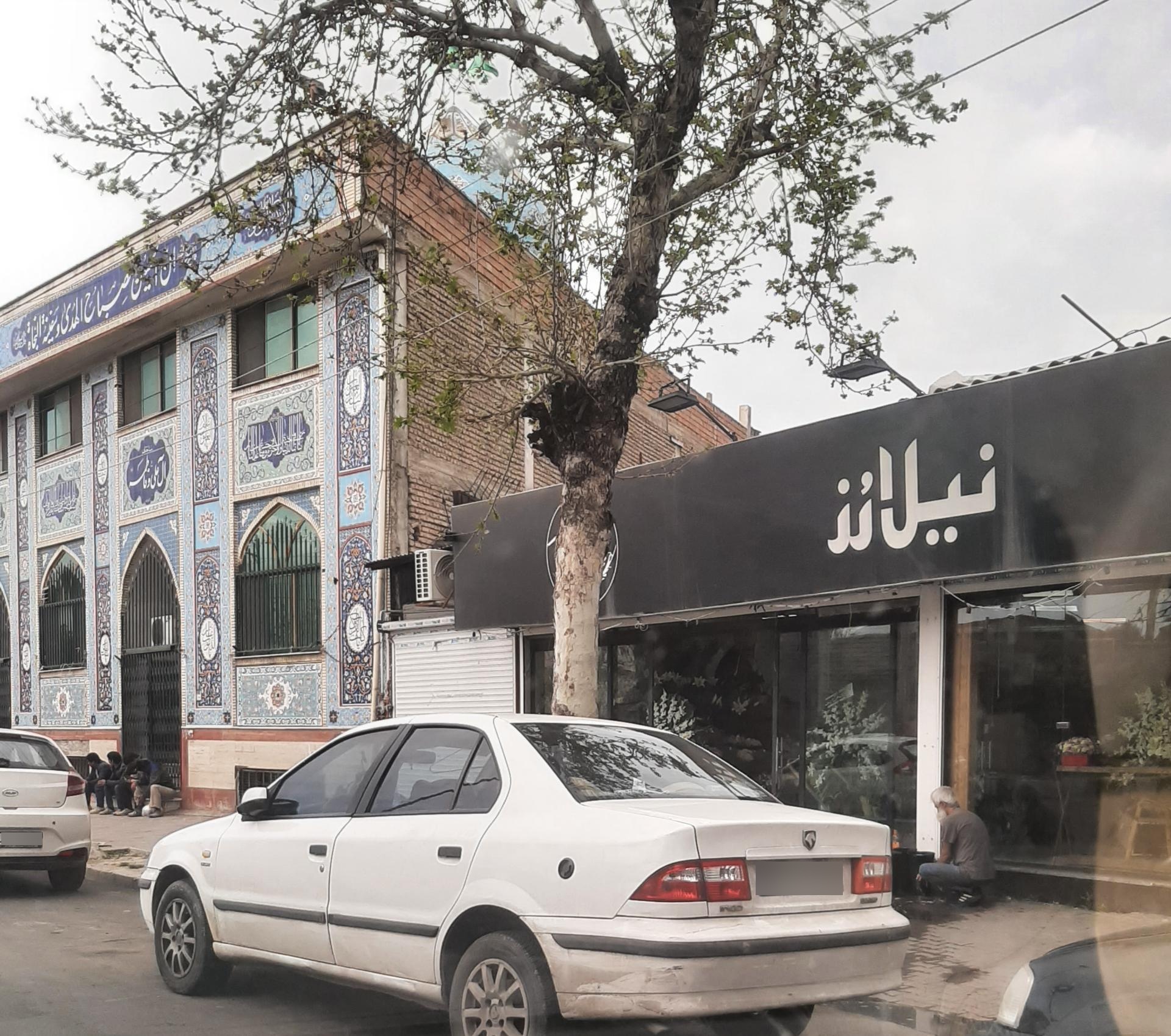 عکس گلفروشی نیلارز