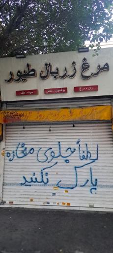 عکس مرغ زربال طیور