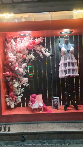 عکس لباس زیر رز