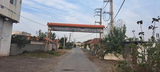 عکس عالیکلا آهی