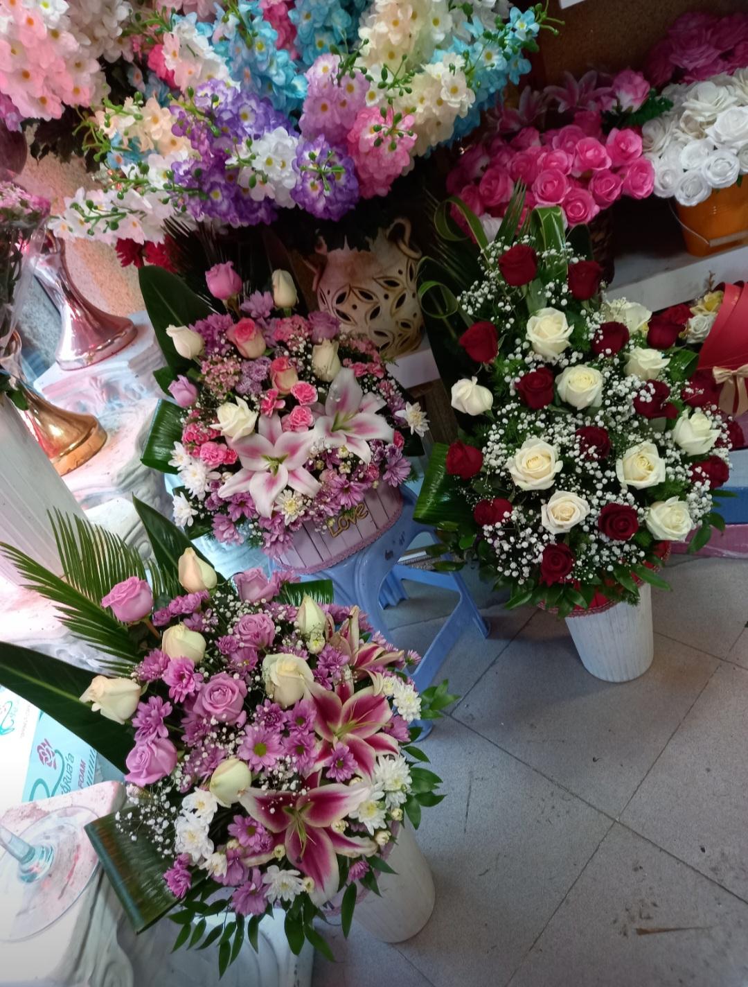 عکس گل‌فروشی‌فرزیا