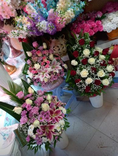 عکس گل‌فروشی‌فرزیا