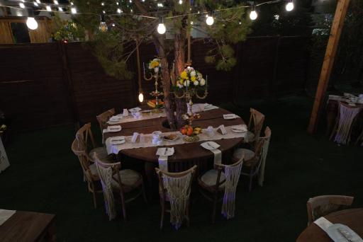 عکس باغ تالار ارگ