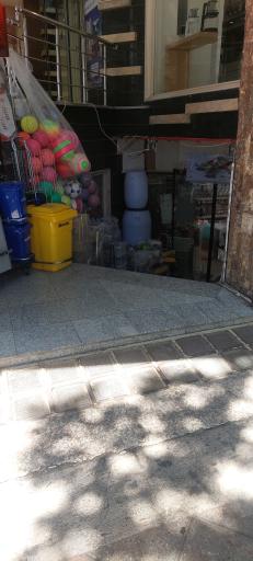 پلاسکو امیر