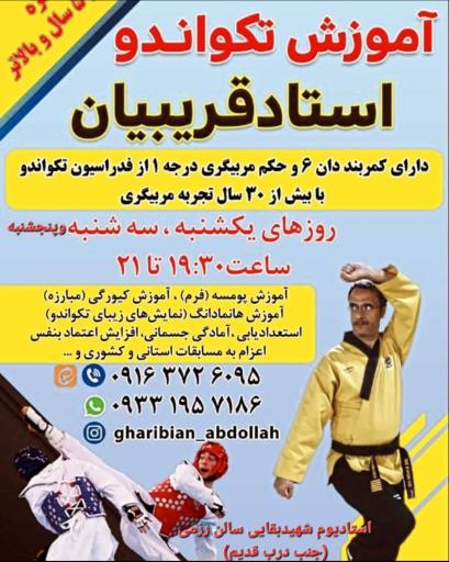 عکس تکواندو استادقریبیان