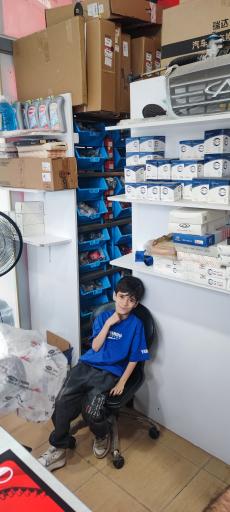 لوازم یدکی چینی اوپال