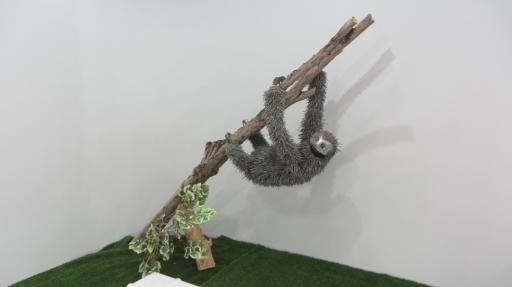 عکس باغ موزه شهروند