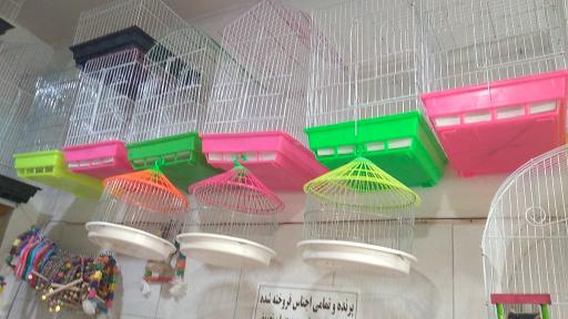 عکس پرنده سرای طبیعت