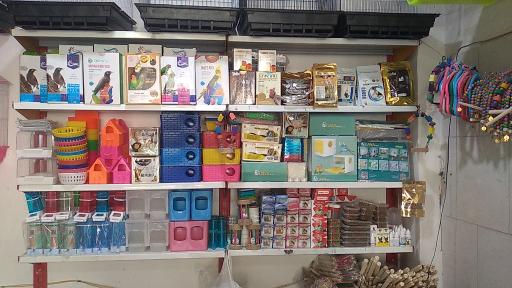 عکس پرنده سرای طبیعت