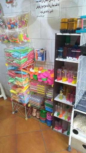 عکس پرنده سرای طبیعت