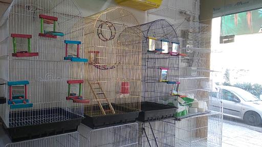 عکس پرنده سرای طبیعت