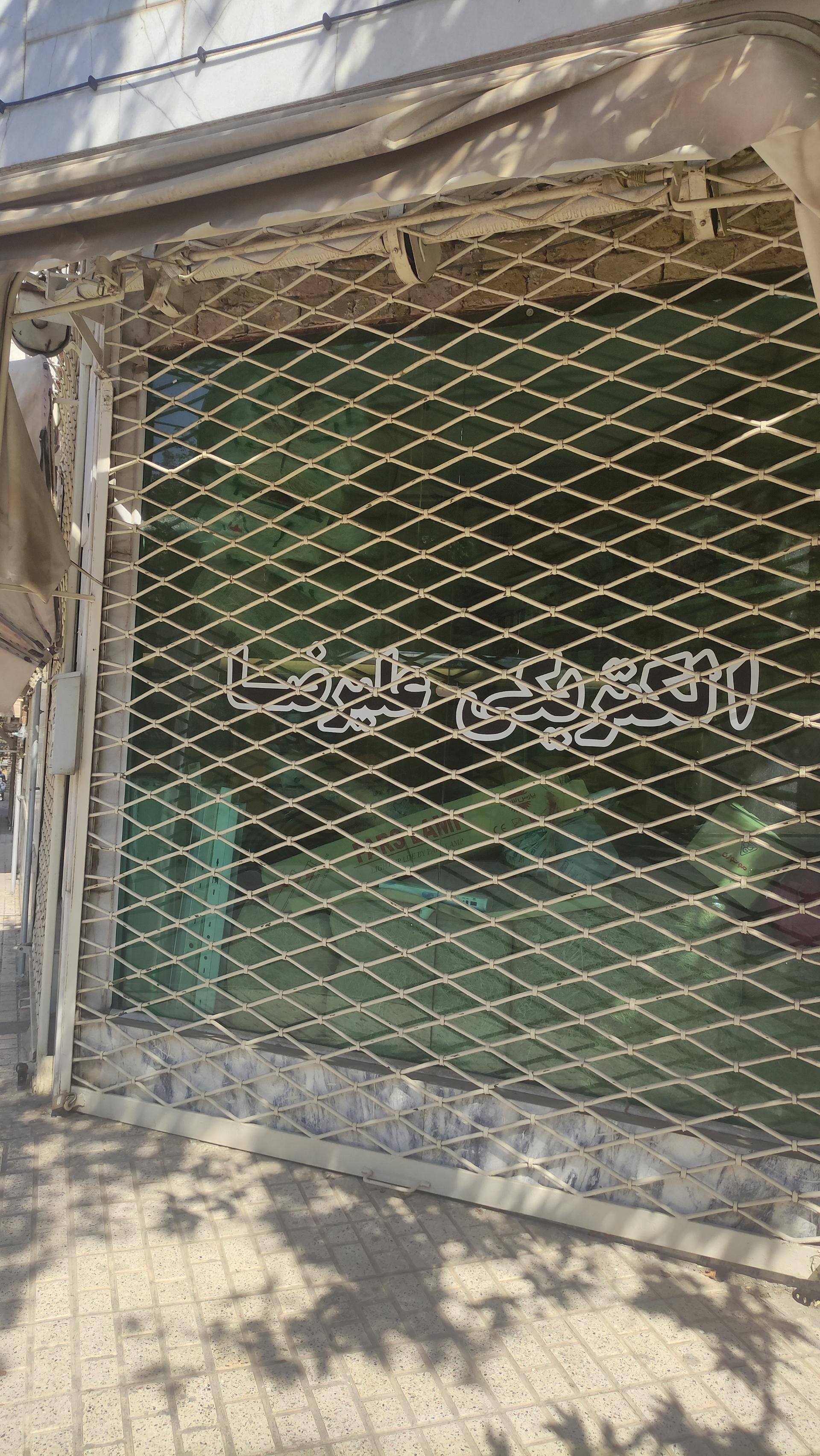 عکس الکتریکی علیرضا