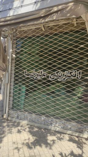 عکس الکتریکی علیرضا