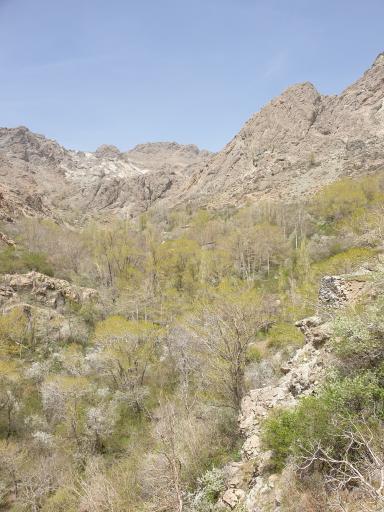 عکس دره اوسون (اوراز)