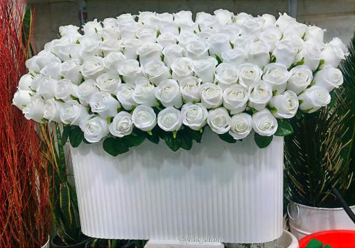 عکس گلفروشی گل الینا