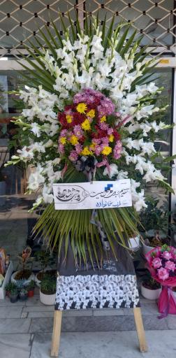 عکس گلفروشی گل الینا