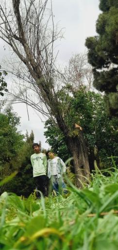 عکس بوستان ملت - پارک گلها