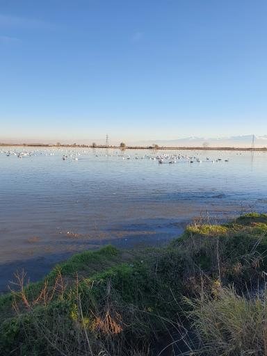 عکس تالاب سرخرود