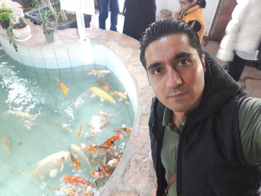 عکس دهکده طبیعت قزوین (باراجین)