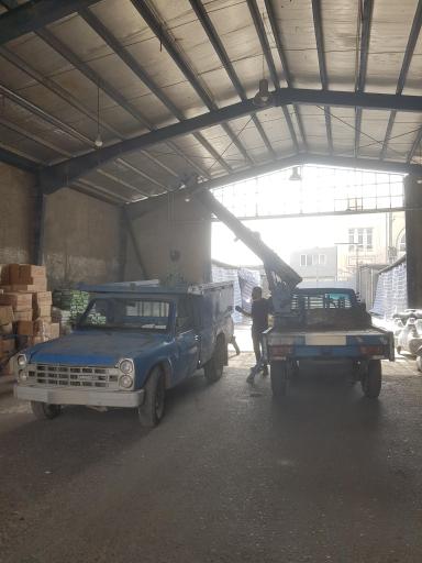 عکس باربری اسکندری 