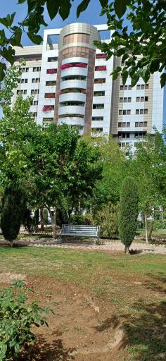 شرکت ملی پخش فرآورده های نفتی ایران