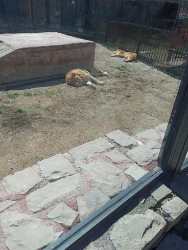 عکس دهکده طبیعت قزوین (باراجین)