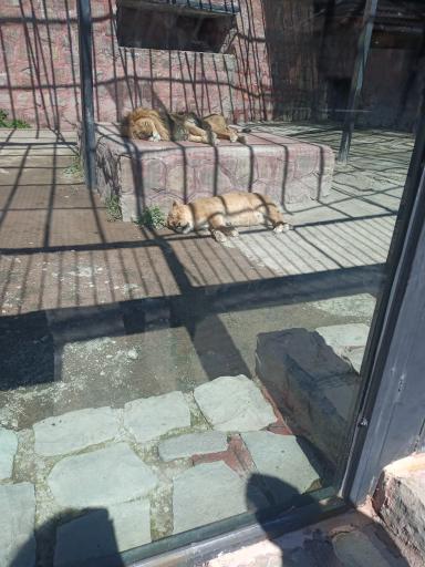 عکس دهکده طبیعت قزوین (باراجین)