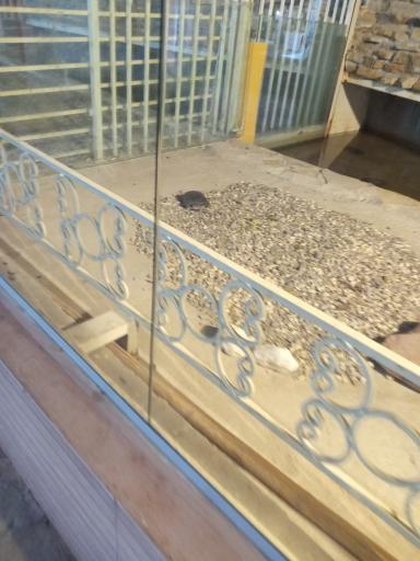 عکس دهکده طبیعت قزوین (باراجین)