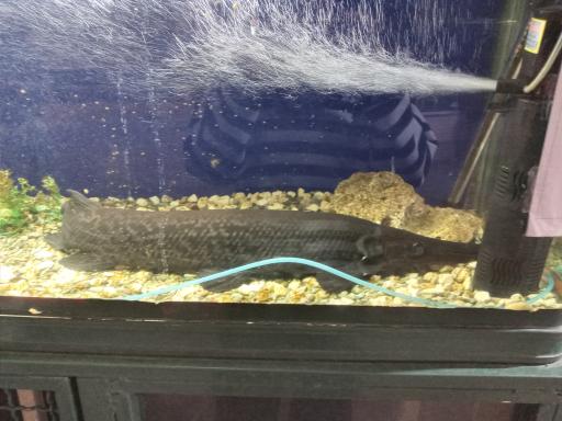 عکس دهکده طبیعت قزوین (باراجین)