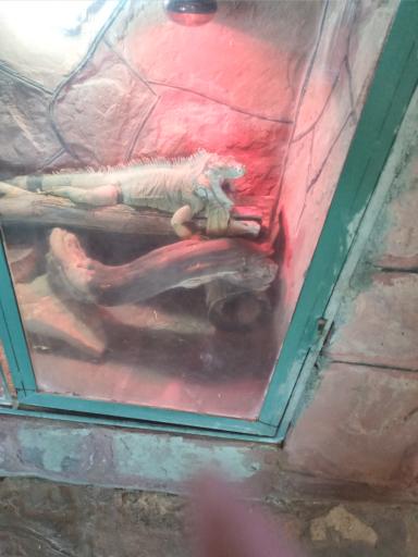 عکس دهکده طبیعت قزوین (باراجین)