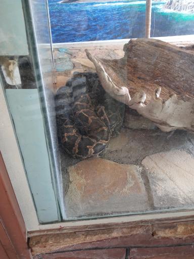 عکس دهکده طبیعت قزوین (باراجین)