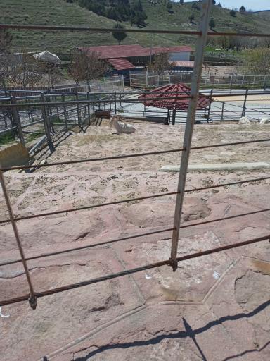 عکس دهکده طبیعت قزوین (باراجین)