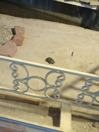 عکس دهکده طبیعت قزوین (باراجین)